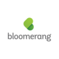 Bloomerang review 2026