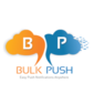 BulkPush review 2026