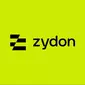 Zydon B2B review 2026